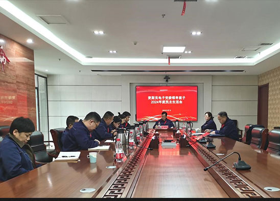 半導體材料板塊召開黨委領(lǐng)導班子2024年度民主生活會